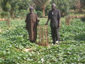 Un des jardins de Tagasaaba